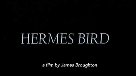 hermes bird short film watch|Hermes Bird (1979): Where to Watch and Stream Online.